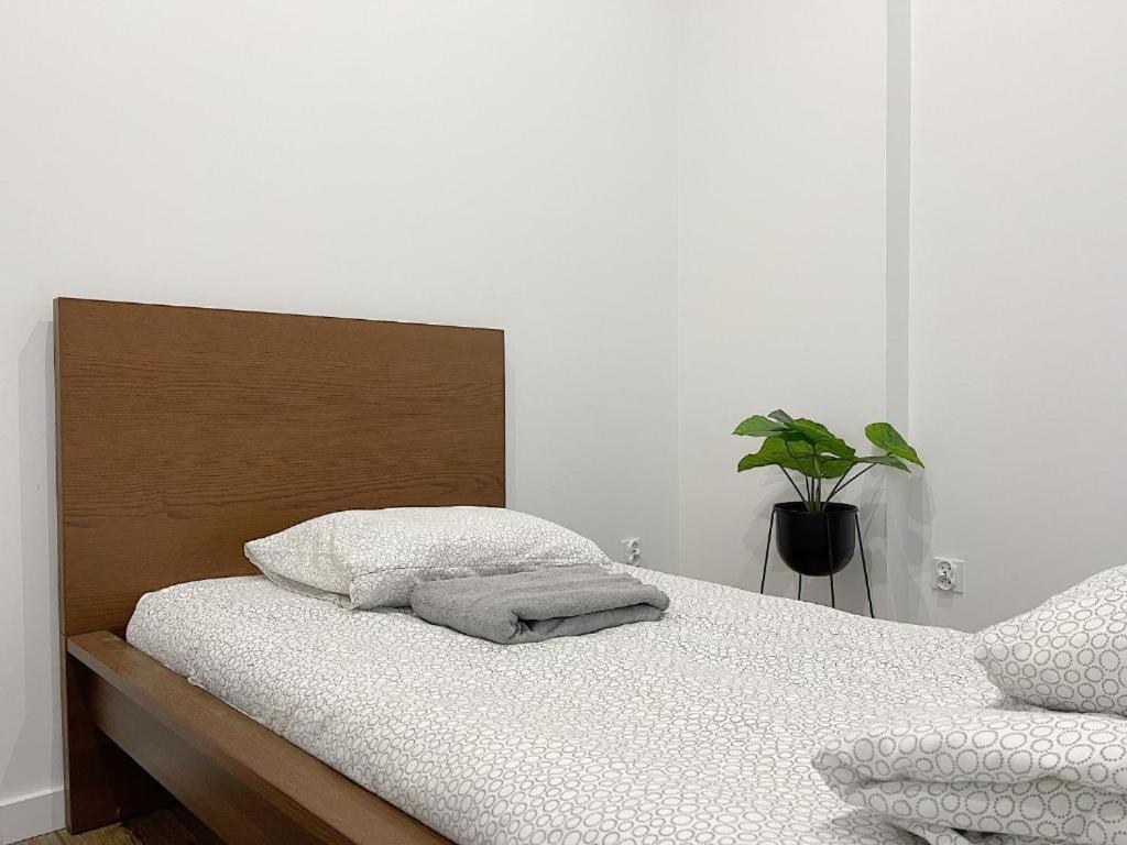Polonia Art Apartments In The City Center カトヴィツェ エクステリア 写真