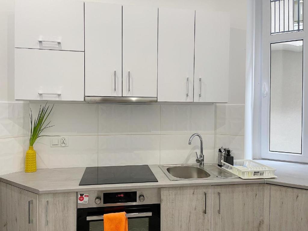 Polonia Art Apartments In The City Center カトヴィツェ エクステリア 写真